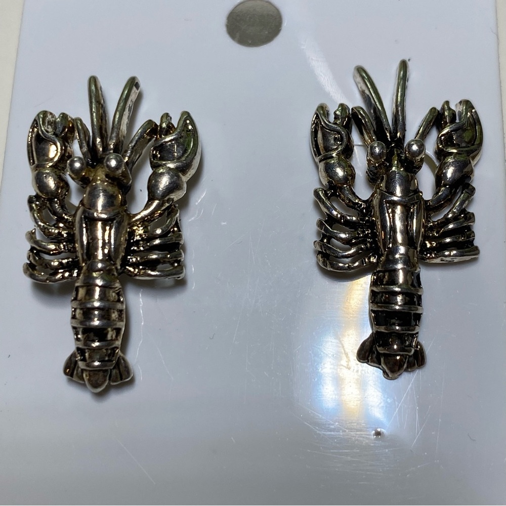 Lobster Earrings Silver Tone for Pierced Ears- Unbranded 1 Inch